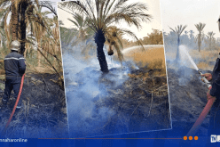 المغير .. الحماية المدنية تتجند لاخماد حريقين بغابات النخيل