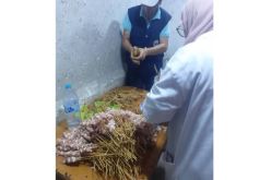 قسنطينة: حجز وإتلاف كمية معتبرة من المواد الاستهلاكية إثر خرجات رقابية