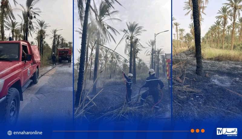 المغير .. احتراق 29 نخلة مثمرة وحوالي هكتار حشائش بدندوقة