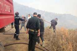 تيزي وزو.. السيطرة على حريق غابة بقرية آيت طاهر