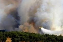 بجاية.. إخماد حريق غابة إخرازن ببوخليفة في تيشي