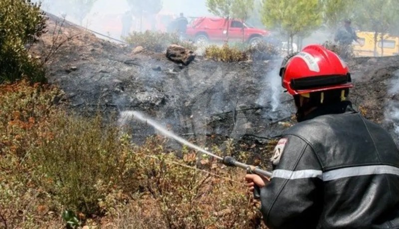 إخماد حرائق غابات بـ 5 ولايات