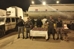 حجز قرابة 30 الف قرص بريغابالين داخل مقصورة شاحنة في تلمسان