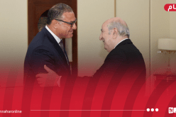 الرئيس تبون يستقبل السفير المصري