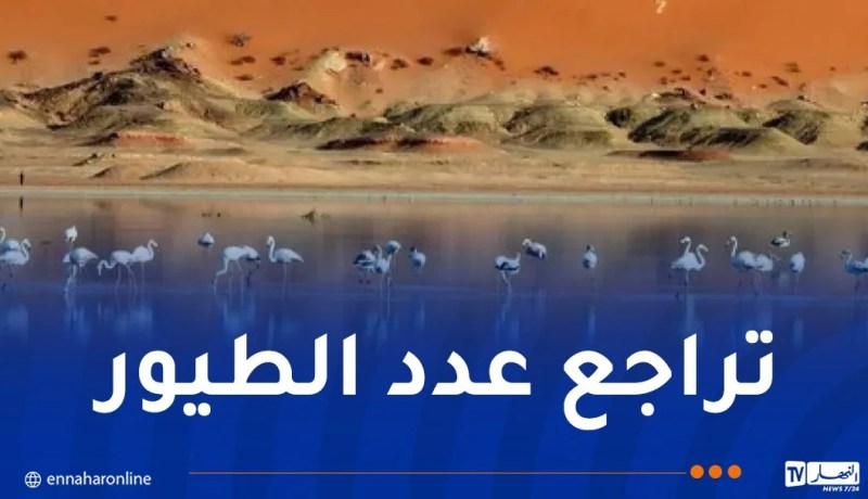 رصد 157 طائراً معشّشاً في إيليزي