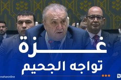 بن جامع بمجلس الأمن: الجزائر تدين بشدة قرار الاحتلال الصهيوني بتشريد سكان غزة