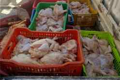 الجلفة: توقيف أربعيني وحجز ما يقارب 1.40 قنطارًا من اللحوم البيضاء الفاسدة