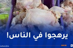 حجز أكثر من 14 قنطارًا من المواد الغذائية الفاسدة بسيدي بلعباس