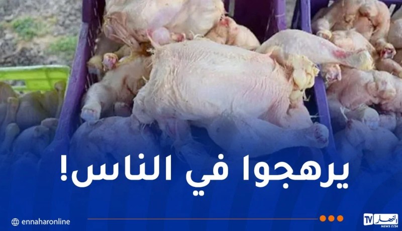 حجز أكثر من 14 قنطار مواد غذائية فاسدة بسيدي بلعباس