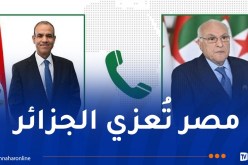 وزير الخارجية يتلقى مكالمة من نظيره المصري