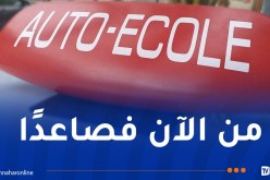 وزارة النقل: تحقيقات حوادث المرور ستشمل مدارس تعليم السياقة