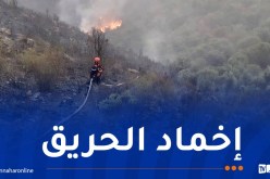 بجاية: إستخدام طائرات مدنية وعسكرية لإخماد حريق إخرازن ببوخليفة