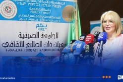 وزارة الثقافة تُدعم 100 عمل فني و200 مشروع ثقافي