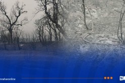 سونلغاز البليدة: عودة الكهرباء بالشريعة وتواصل قطع الغاز احترازيًا