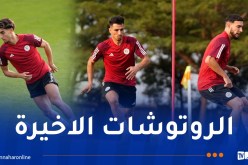 بالصور.. محليو “الخُضر” يختتمون التحضيرات لمواجهة غينيا الحاسمة