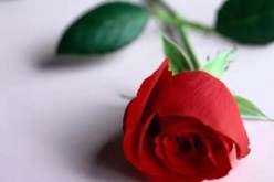 بخله المادي وشحّه العاطفي قلب حياتي رأسا على عقب