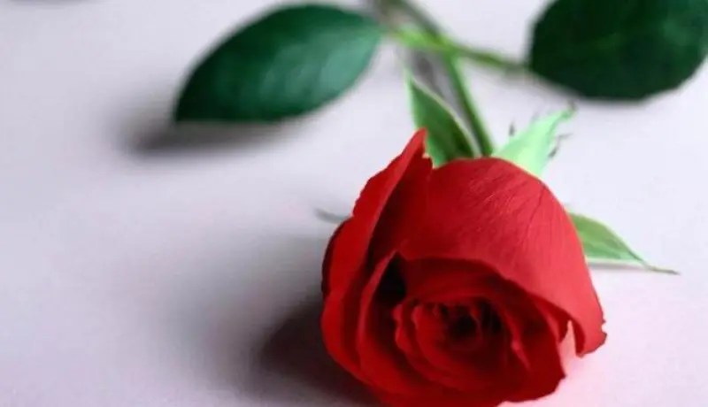 بخله المادي وشحّه العاطفي قلب حياتي رأسا على عقب