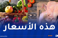 هذه أسعار اللحوم والخضر والفواكه اليوم