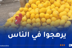 عين تموشنت.. حجز 5 قناطير من البطيخ غير صالحة للإستهلاك