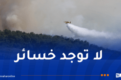 تسخير 3 طائرت إخماد.. إندلاع حريق بمنطقة الدكان في بومرداس