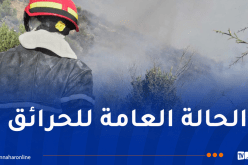 تسجيل 35 حريقا عبر الوطن خلال 24 ساعة!