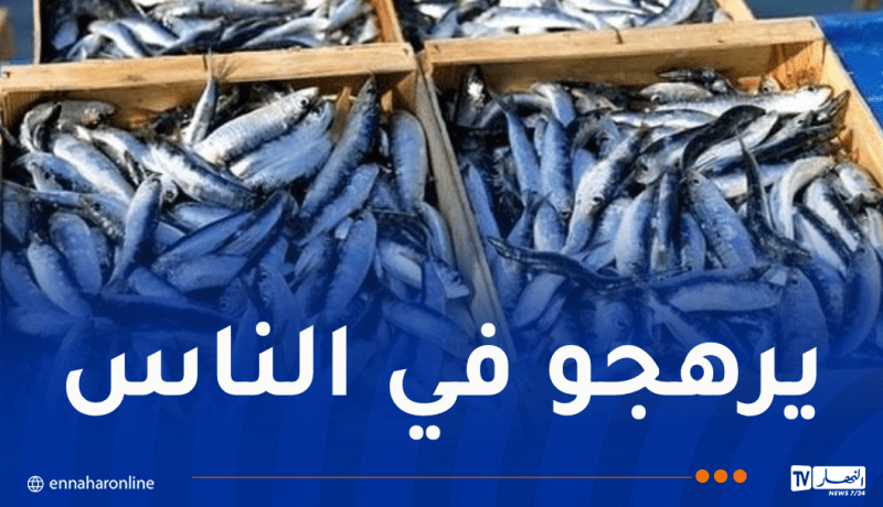 غليزان.. حجز قرابة 10 قناطير من السمك الفاسد