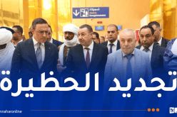 قطار سريع.. تعزيز حظيرة النقل وتوسعة المطار بتمنراست