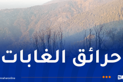 تسجيل 14 حريقا عبر هذه الولايات