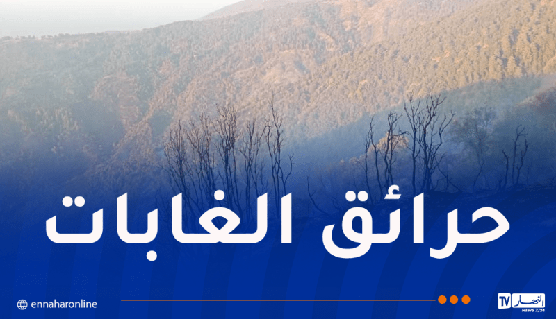 إندلاع حرائق في غابات البليدة وتيبازة اليوم