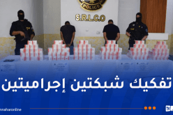 SRLCO قسنطينة تحجز أزيد من 100 ألف كبسولة مهلوسات!