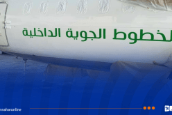 الشروع في العمل بالإسم الجديد والهوية البصرية للخطوط الجوية الداخلية بداية من الغد