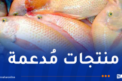 وزير الفلاحة: توفير كل التسهيلات للراغبين في الاستثمار بتربية المائيات البحرية