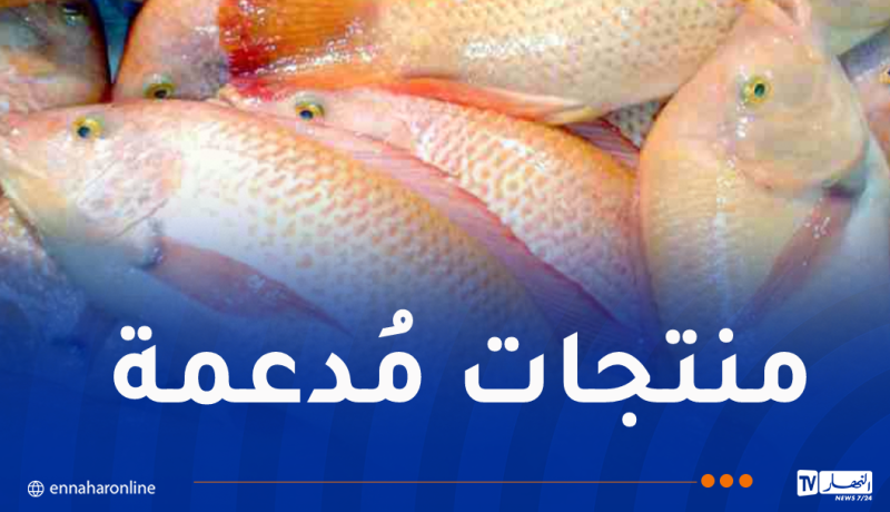 وزير الفلاحة: توفير كل التسهيلات للراغبين في الاستثمار بتربية المائيات البحرية