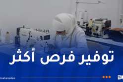إطلاق 4 مؤسسات تكوينية جديدة بالجلفة