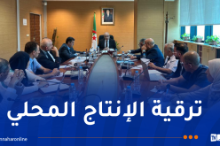 تدقيق النتائج الخاصة بالإحصاء الاقتصادي للمنتوج الوطني