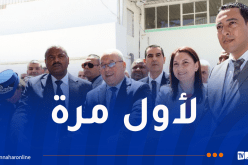 إنتاج الكحول الطبي من العنب في عين تموشنت