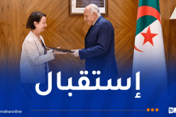 عطاف يتسلم أوراق اعتماد سُفراء جدد لدى الجزائر