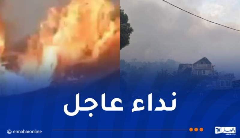 حريق الشريعة.. نداء عاجل للمواطنين