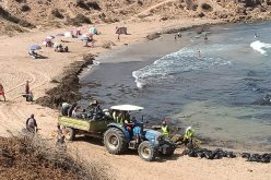 بعد غزو الطحالب البحرية..تواصل حملة تنظيف الشواطئ عبر 14 ولاية