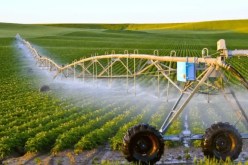 انطلاق التسجيلات للإستثمار في الأراضي الفلاحية