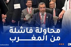 الجمهورية الصحراوية تشارك في مؤتمر طوكيو للتنمية بإفريقيا “تيكاد 9”