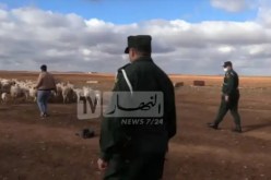 غليزان .. الإطاحة بشبكة مختصة في سرقة المواشي بإقليم الولاية