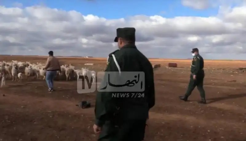 غليزان .. الإطاحة بشبكة مختصة في سرقة المواشي بإقليم الولاية