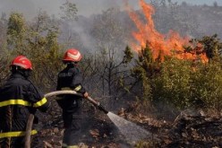 العملية متواصلة.. إخماد حريق غابة “تالارانا” بأمشدالة في البويرة