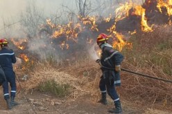 اندلاع 28 حريق غابات خلال 24سـا