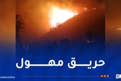 تخصيص 3 طائرات.. اندلاع حريق كبير في غابات بجاية