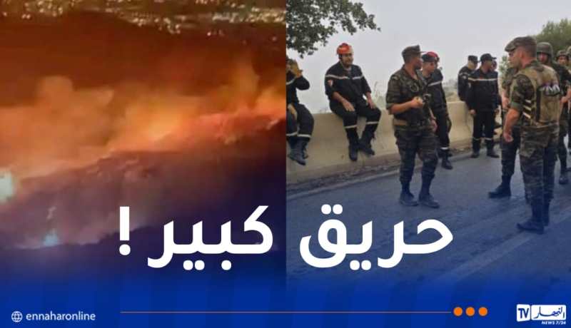 فيما تم اجلاء العائلات..حريق مهول يلتهم جبال الشريعة في البليدة