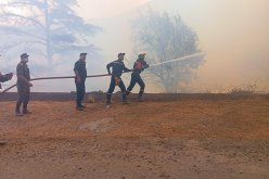 نشوب حريق جديد بالشريعة.. رياح قوية ساعدت على انتشاره