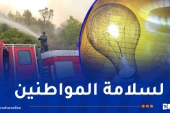 حرائق البليدة..تذبذب في الكهرباء وقطع الغاز بمناطق الشريعة