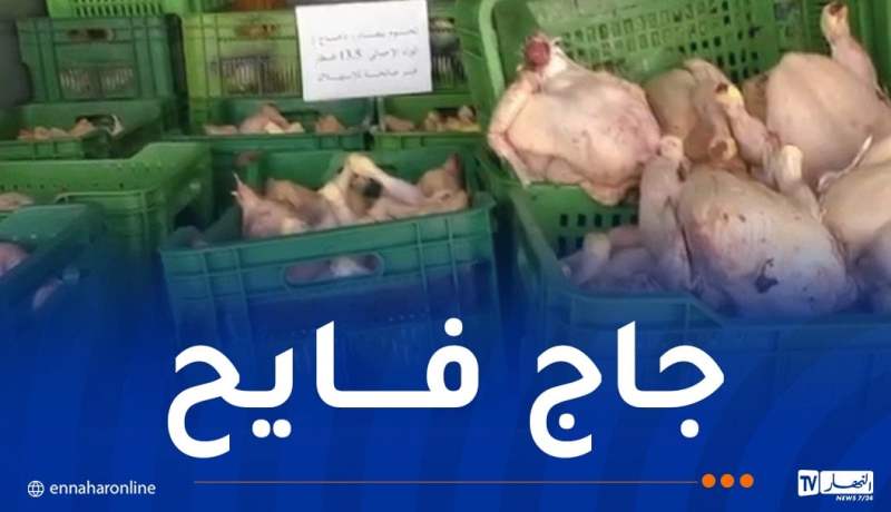 العاصمة: حجز 13.5 قنطار من الدجاج الفاسد موجهة للاستهلاك البشري